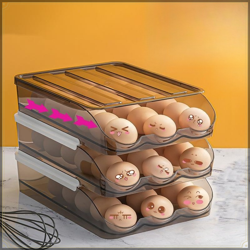 Rollende Eier-Aufbewahrungsbox – Egg Storage Holder Bewertung und Preis