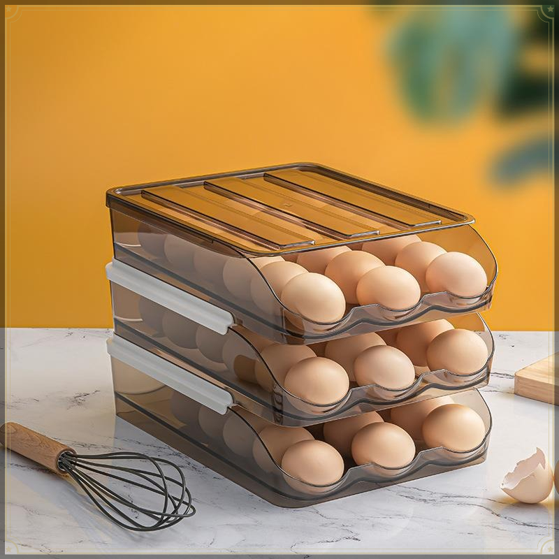 Rollende Eier-Aufbewahrungsbox – Egg Storage Holder Bewertung und Preis
