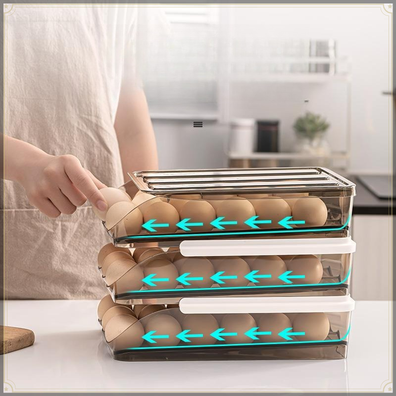 Rollende Eier-Aufbewahrungsbox – Egg Storage Holder Bewertung und Preis